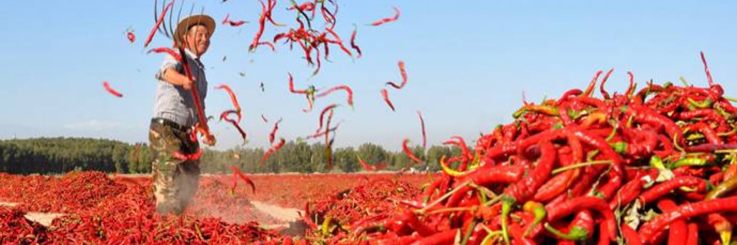 Hot Sauce Addicts 🌶🔥💯 banner