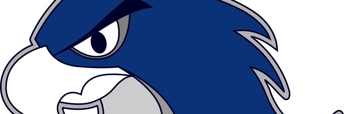 vcsriverhawks's profile banner image