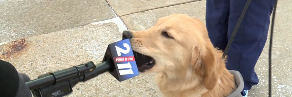 Trevor Chikowski banner