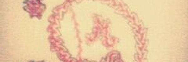 andmelniick32 Profile Banner