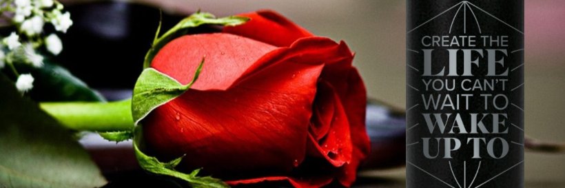 LauraMPaulson's profile banner image