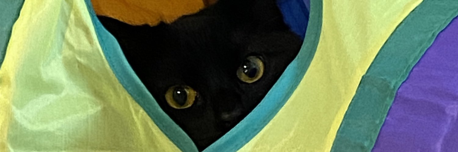 cooochiegang's profile banner image