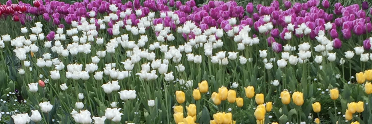 funjazzlove's profile banner image