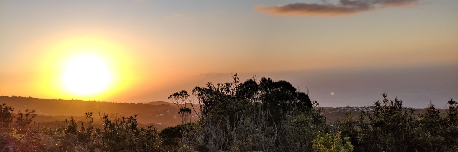 bitofkit's profile banner image