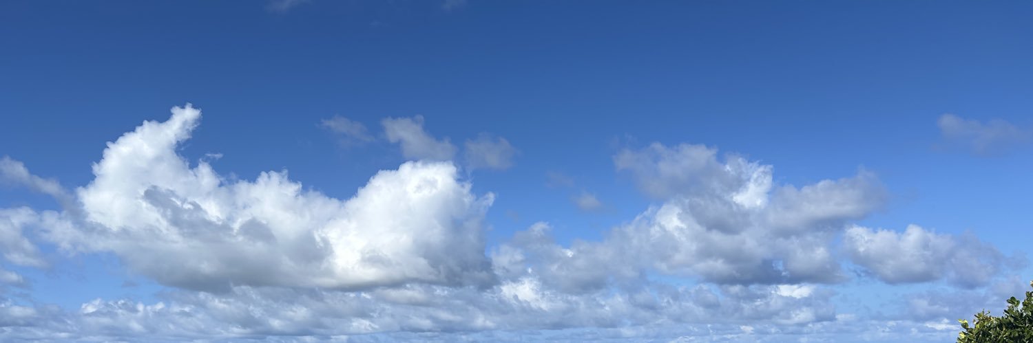 Kinakoneko0116's profile banner image
