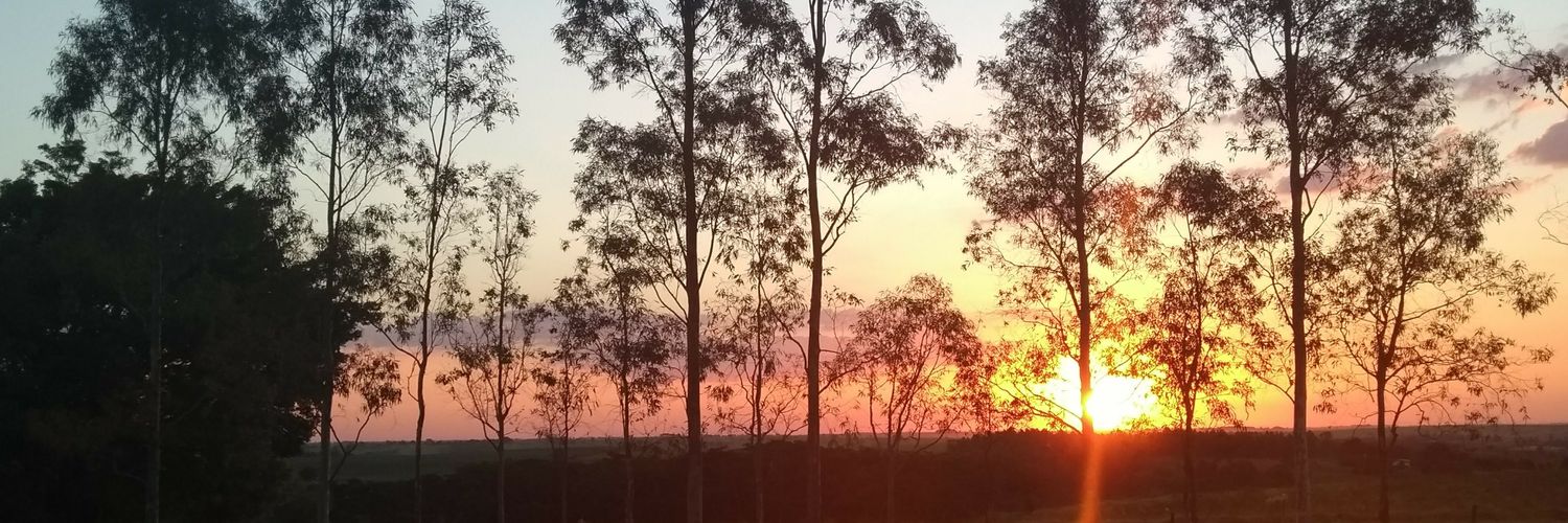 Welington Macedo banner