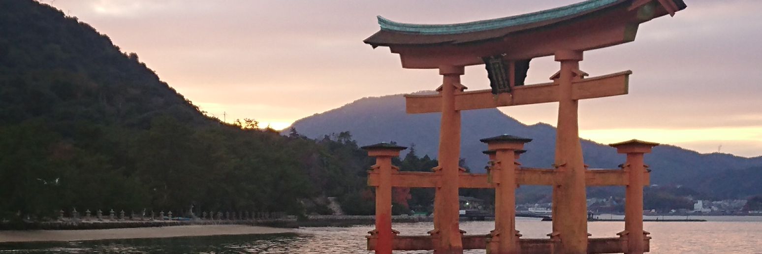 amasaki03's profile banner image