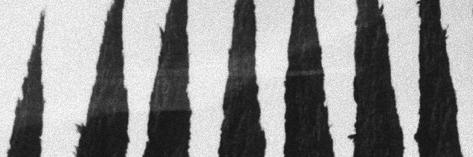 NiicholasCole's profile banner image