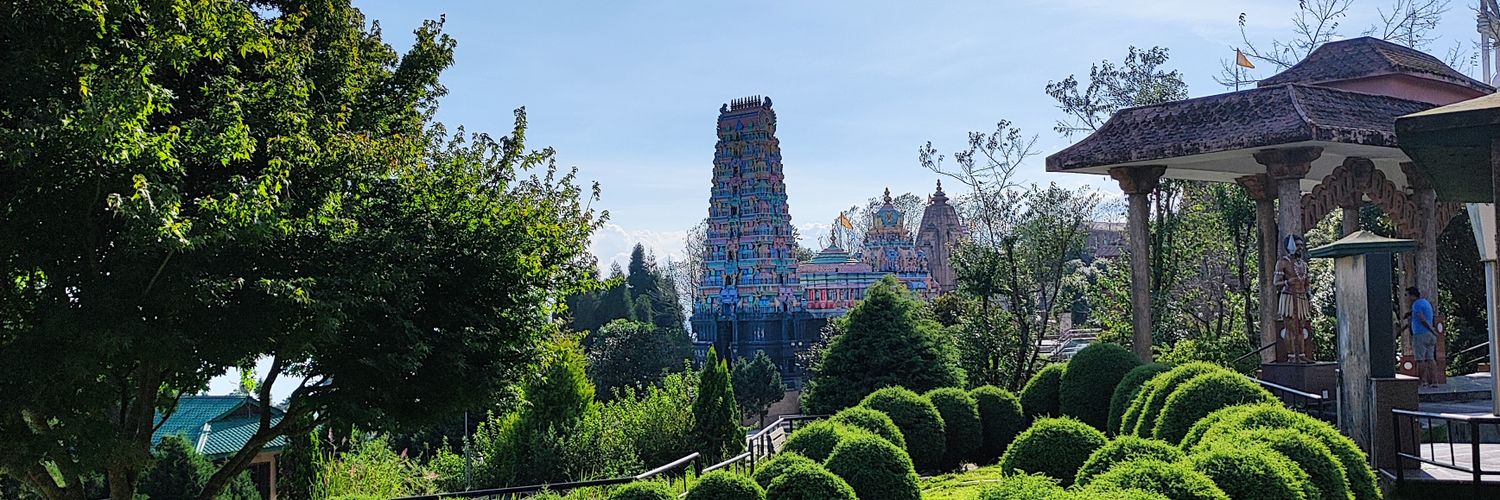 पाठक तनहा banner