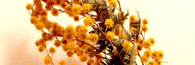 axi214's profile banner image
