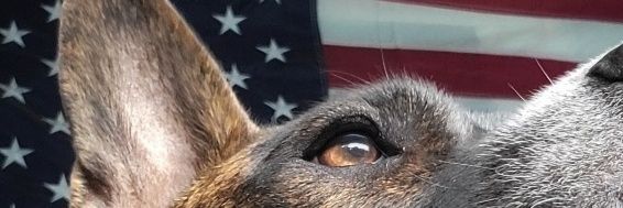 ppad65mills's profile banner image