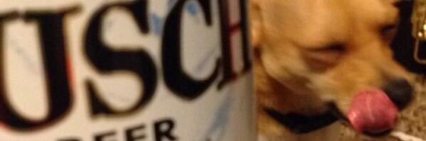 local_bass's profile banner image