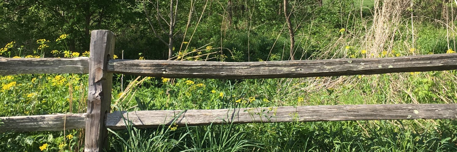 Jen_theHuman's profile banner image