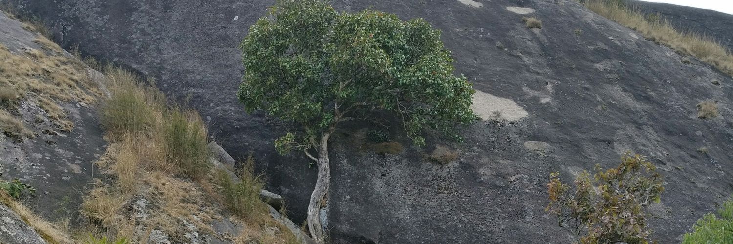 harshjw's profile banner image