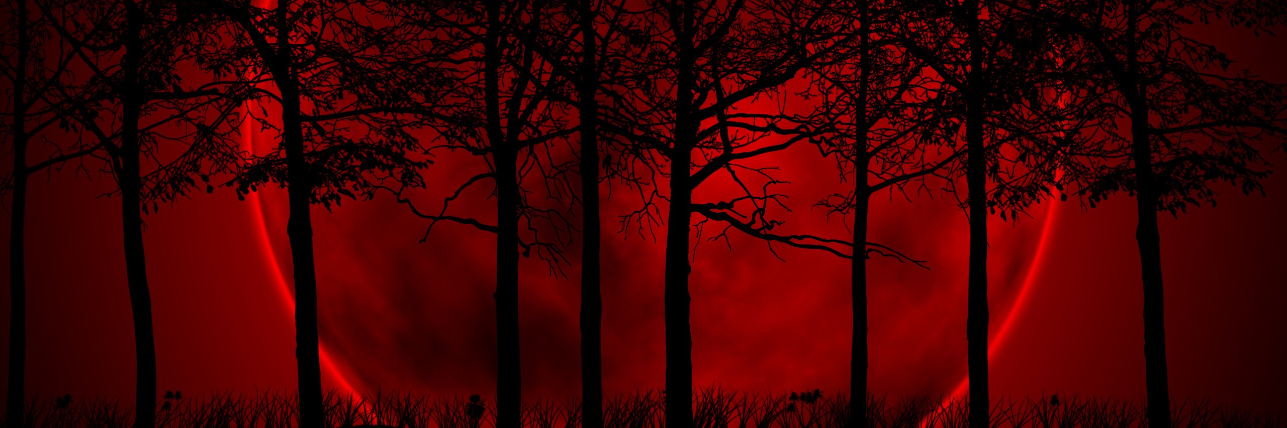IlGreg1976's profile banner image