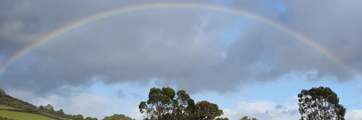 MaxyT_38's profile banner image