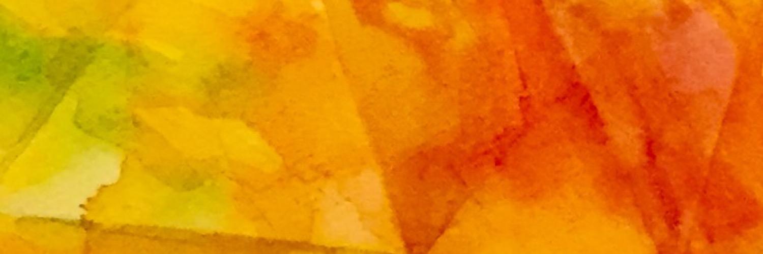 _myu_t's profile banner image