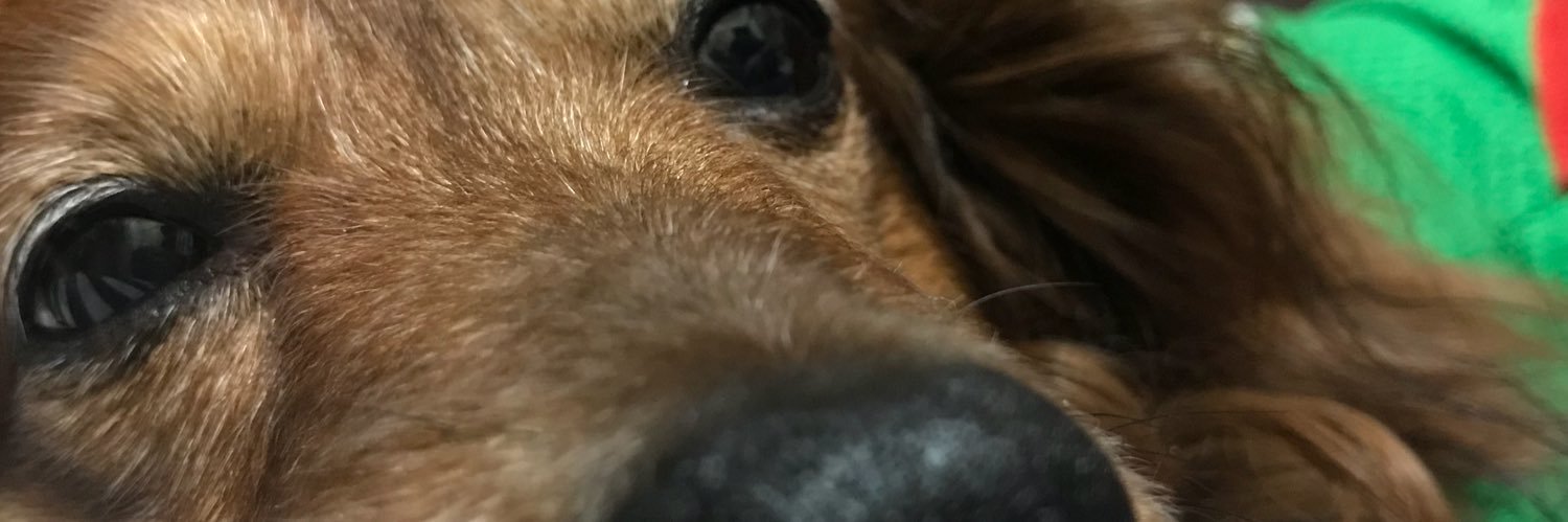r_08042's profile banner image