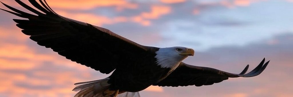 thatJZ's profile banner image