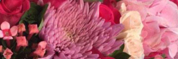 welcom_kw's profile banner image