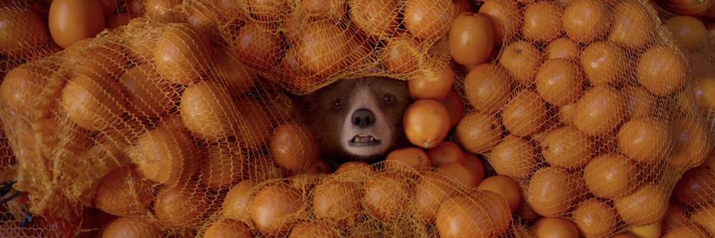 adam offitzer banner