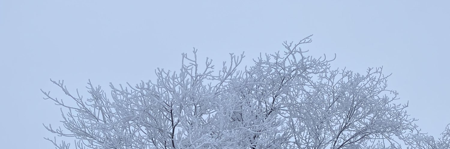 Brad Harrison banner