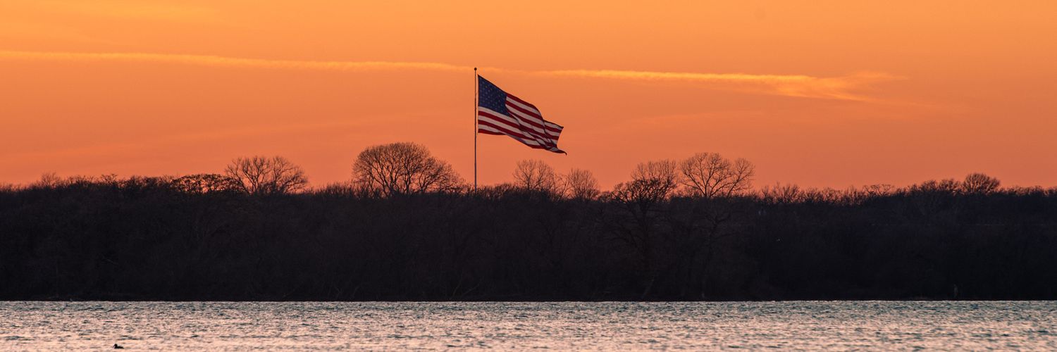 Cybernaut🖥️ banner