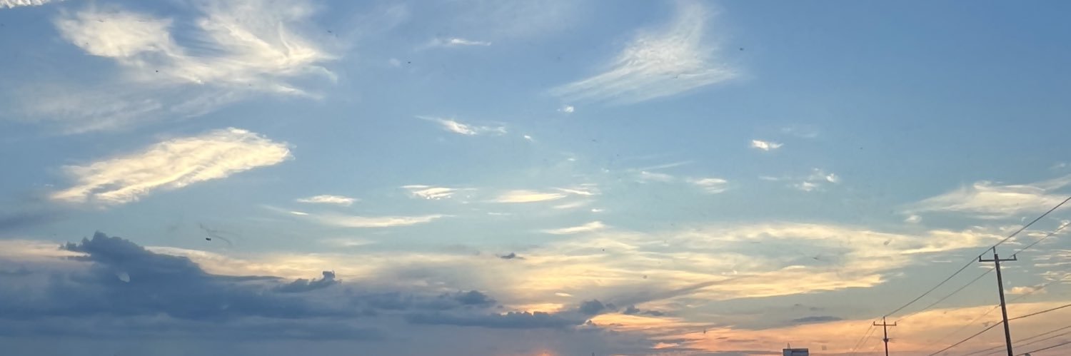 lanathefag's profile banner image