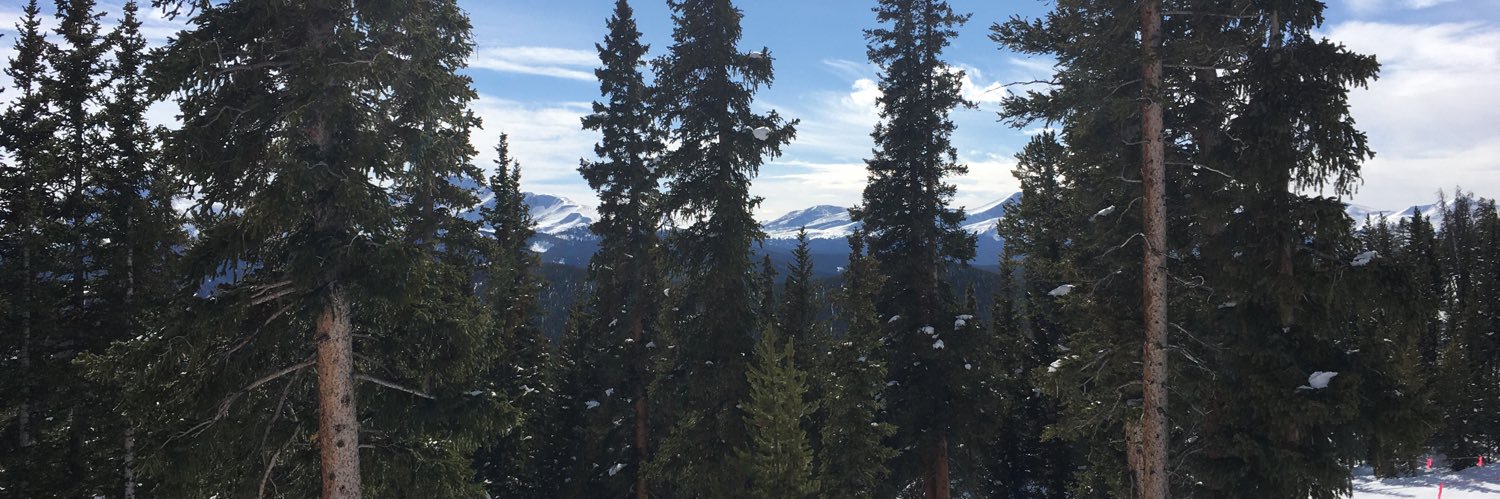 moxrrr's profile banner image