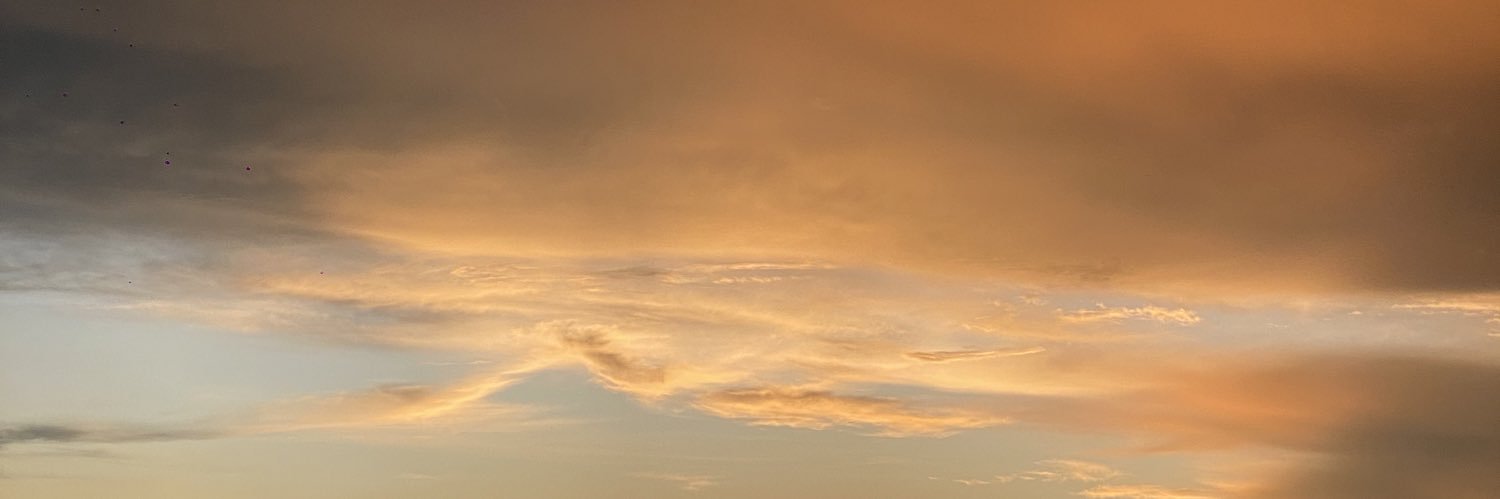 _Pija's profile banner image