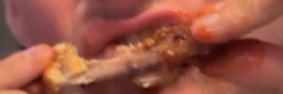 zoltlord's profile banner image
