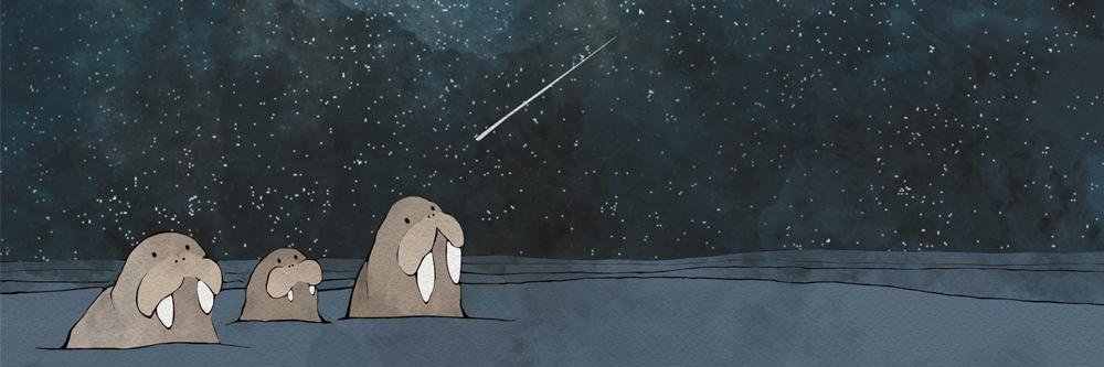 DankSpaceWalrus's profile banner image