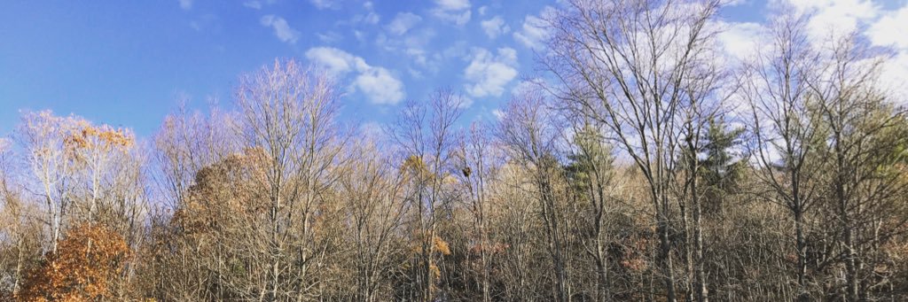 MichaelMahtin's profile banner image