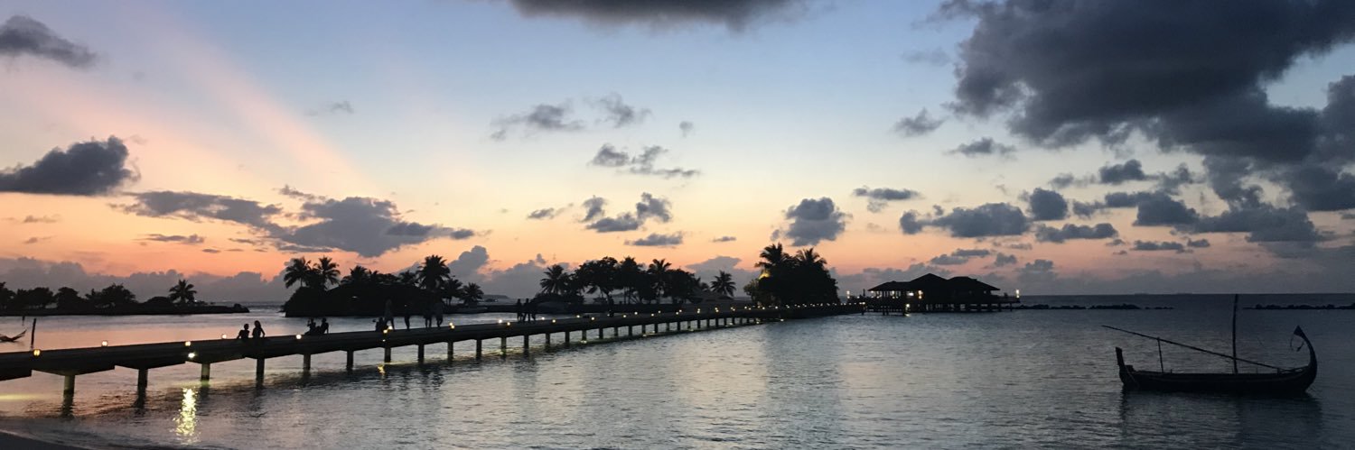 nesalexandraaa's profile banner image