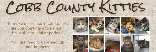 cobbkitties Profile Banner