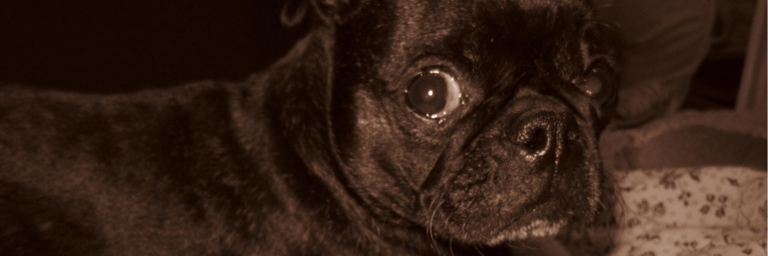 neil_toscano's profile banner image