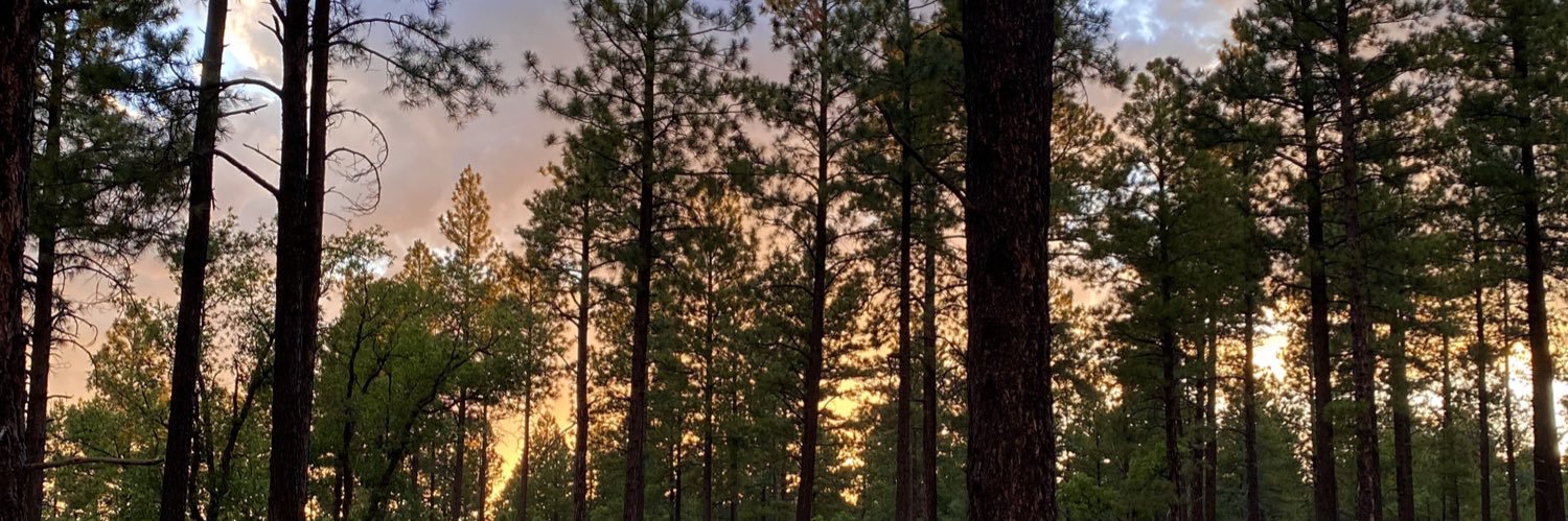 KatlynMell's profile banner image