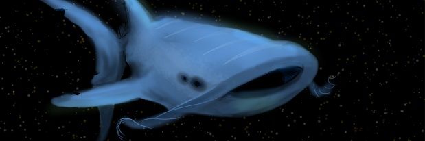 Neunkin's profile banner image