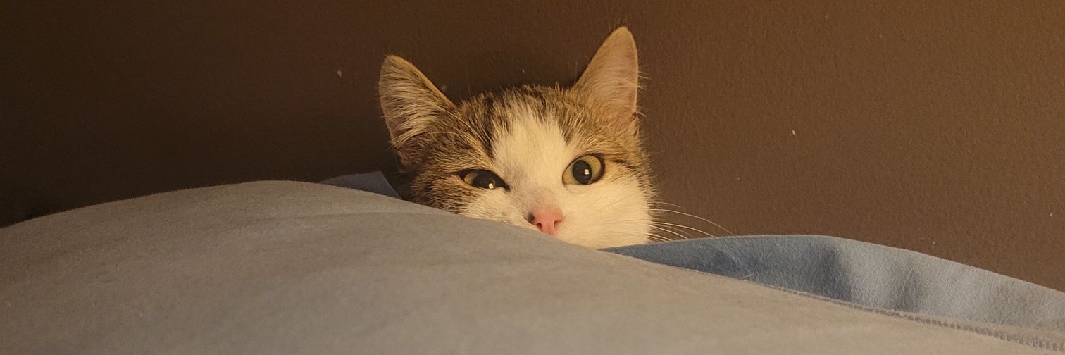 usokat_'s profile banner image