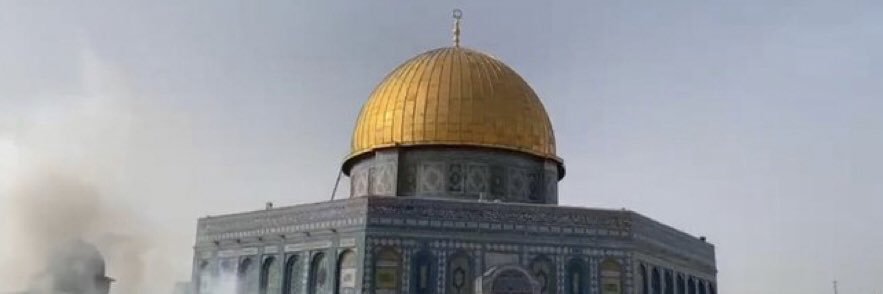 rafeef_barbrawi's profile banner image