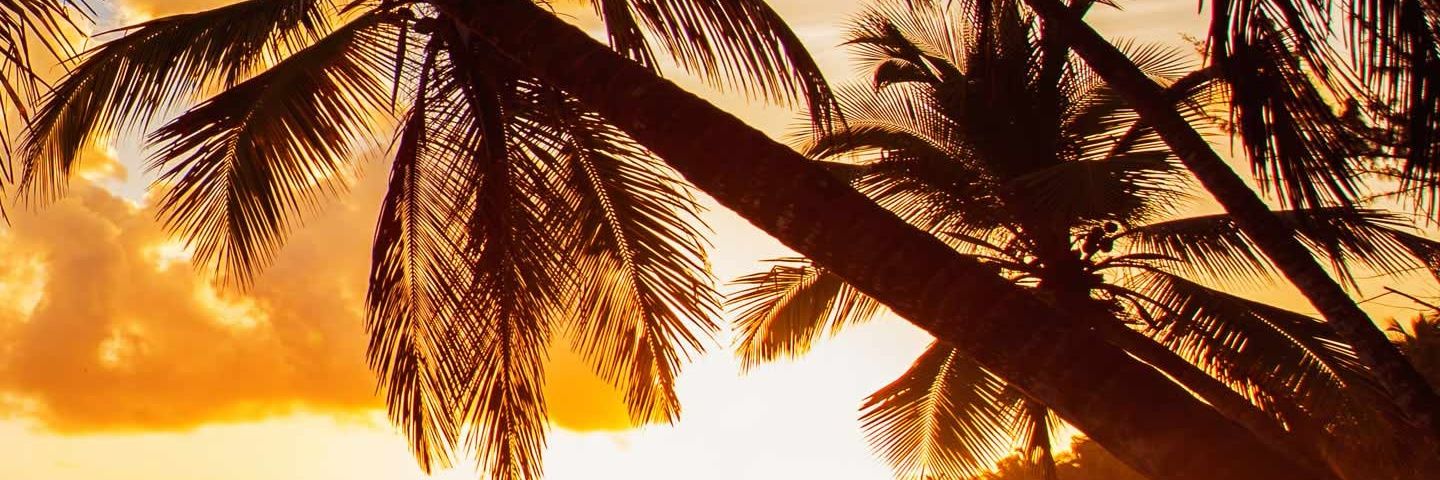 manudica9's profile banner image