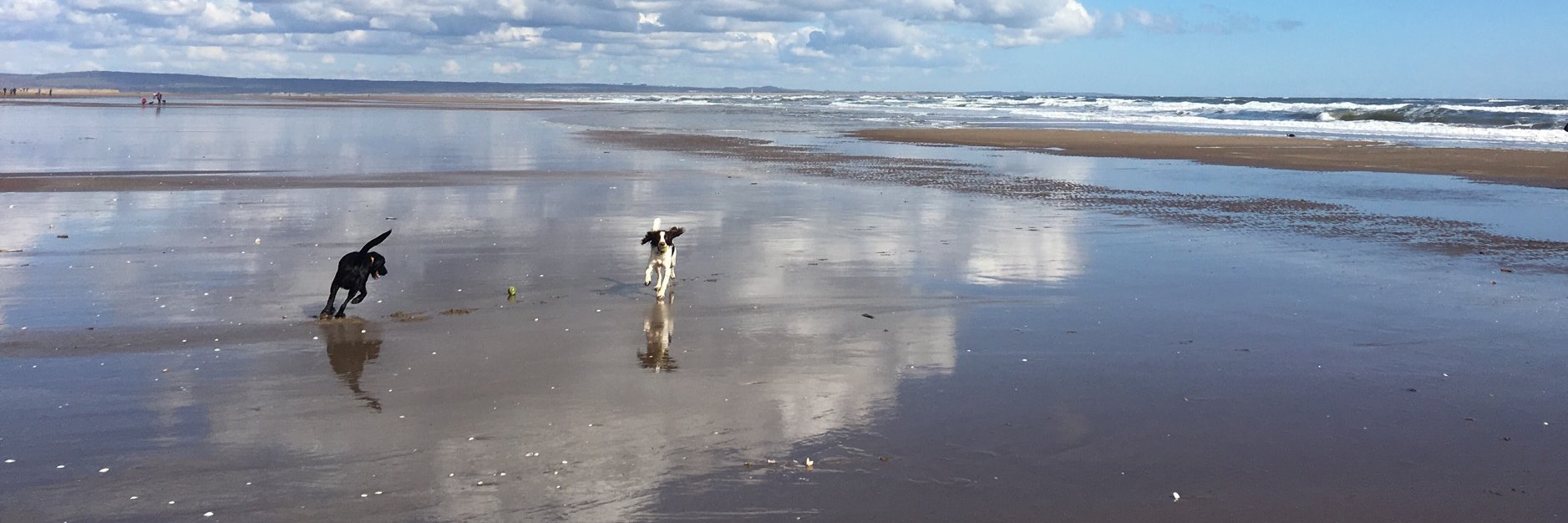 Richard Ibbotson banner