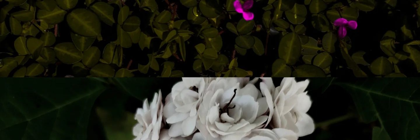 rahulaunni's profile banner image