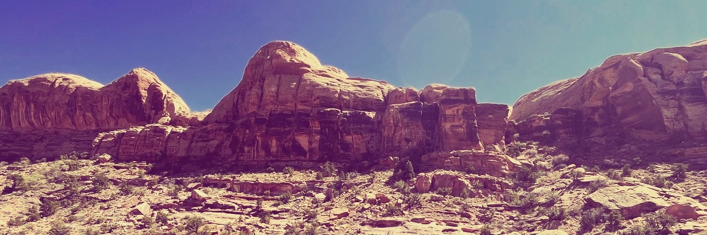 EndangeredPoets's profile banner image