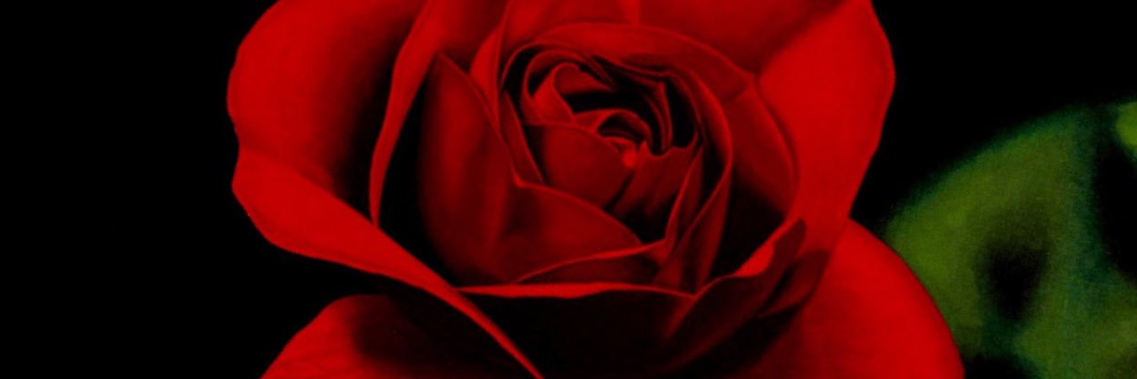 om259's profile banner image