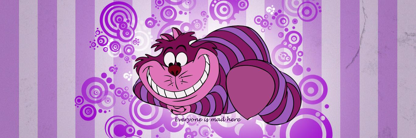 Wouter den Hollander banner