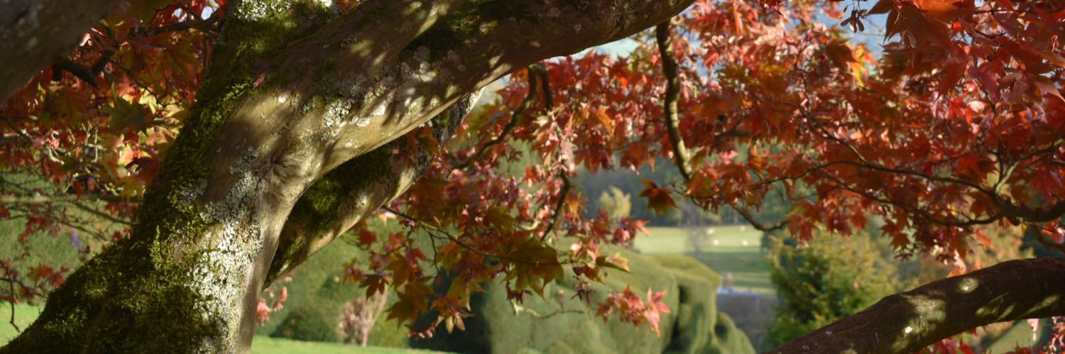 Rachelc1040's profile banner image