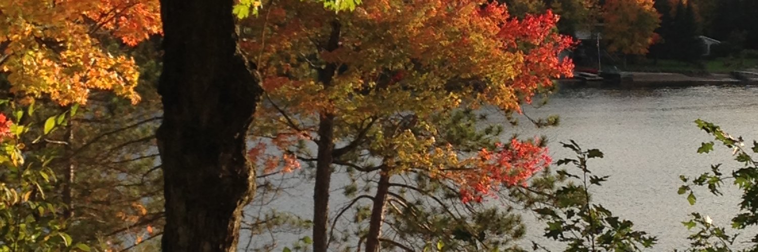 Maureen O'Mahoney banner