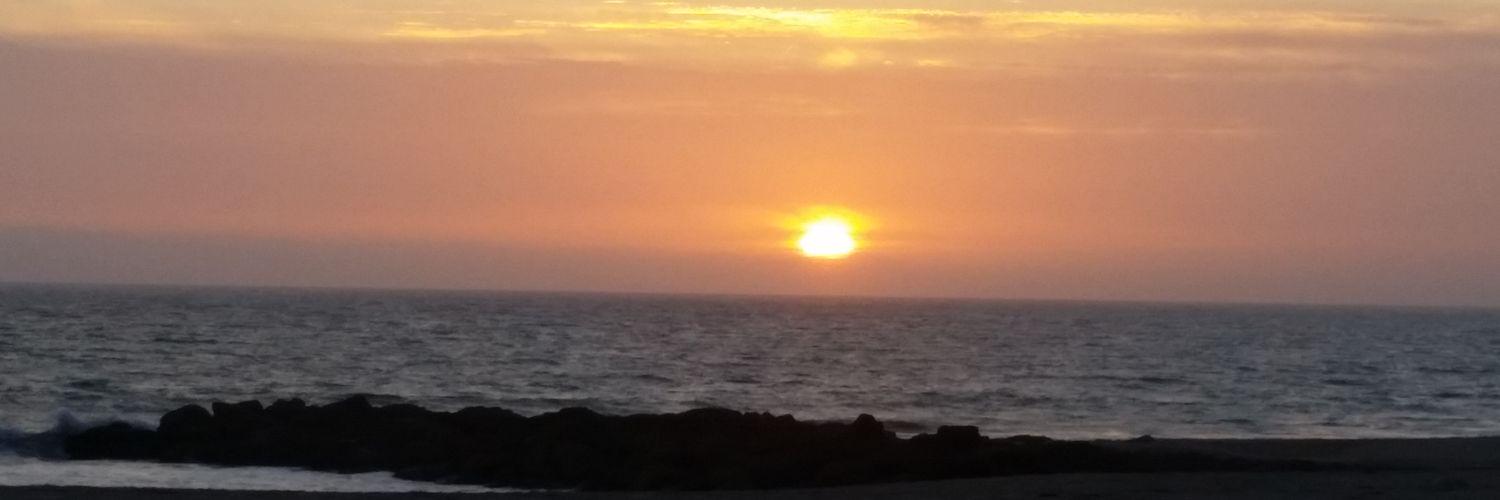 SeaThings1's profile banner image