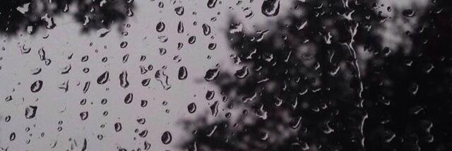 Rainzilla's profile banner image